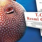 balon-baligi-avciligi-destegi-artirildi-QGGOzVRa.webp