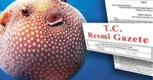 balon-baligi-avciligi-destegi-artirildi-QGGOzVRa.webp