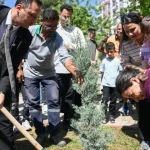 bornovada-fidanlar-toprakla-bulustu-9wylIzQb.webp