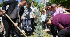bornovada-fidanlar-toprakla-bulustu-9wylIzQb.webp