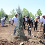 diyarbakirda-engelliler-fidan-dikerek-gelecege-nefes-oldu-rRI4W4la.webp
