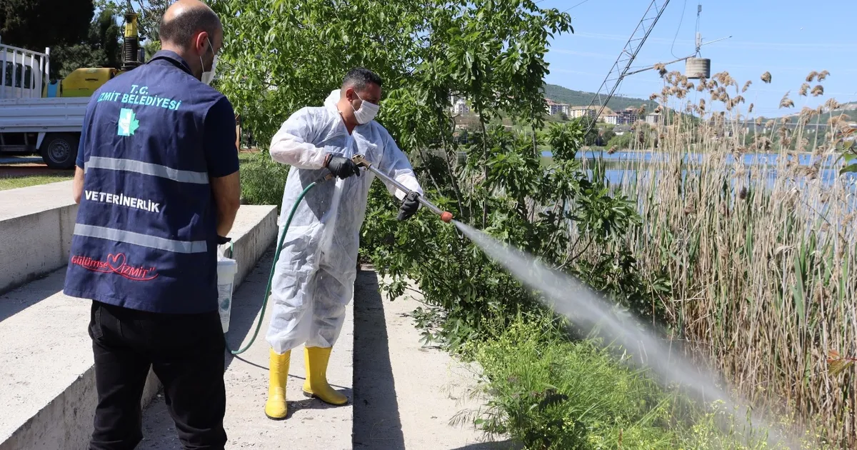 İzmit’te halk sağlığı için yoğun ilaçlama mesaisi