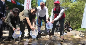 kocaeli-kirazdereye-2-yilda-16-bin-alabalik-salindi-BausNPlX.webp