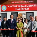 manisada-sokak-hayvanlari-icin-hayvan-yasam-merkezi-hizmete-acildi-InDsGXIC.webp