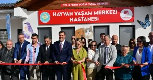 manisada-sokak-hayvanlari-icin-hayvan-yasam-merkezi-hizmete-acildi-InDsGXIC.webp