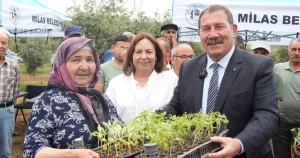 mugla-milasta-300-ureticiye-dagitim-gerceklestirildi-lVmAahEt.webp