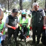 orman-yanginlarina-karsi-es-zamanli-temizlik-BmqMhzUe.webp