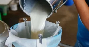 turkiyede-sut-uretimi-yukseliyor-martta-1-milyon-15-bin-ton-sut-toplandi-FL77PH2a.webp