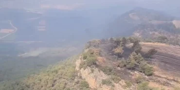 Bilecik'te yangınlar kontrol altında